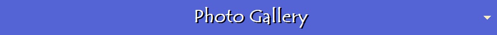 Photo Gallery
